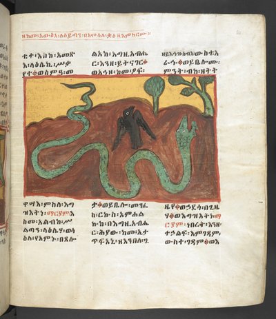 O. 607 f064r, Escena de la vida de la Virgen María, de 