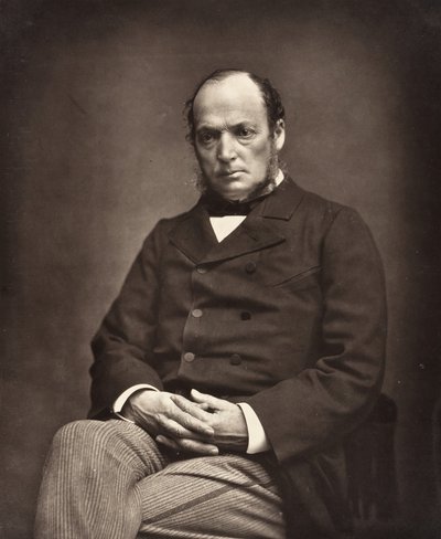 Émile Deshayes de Marcère, político francés, 1828-1918, c. 1876 de Etienne Carjat