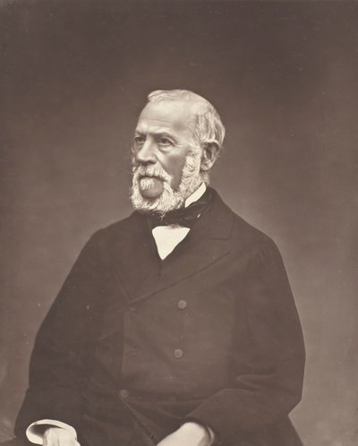 Henri Martin, c. 1876 de Etienne Carjat