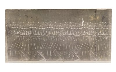 Hombre caminando, 1882 de Etienne Jules Marey
