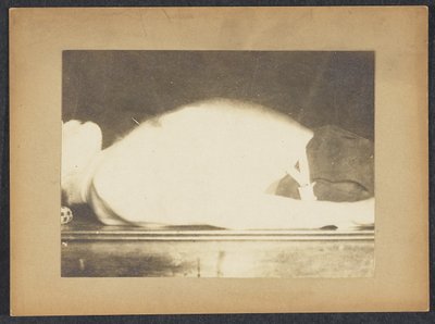 Marey en un Estudio de la Respiración de Etienne Jules Marey