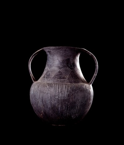 Civilización etrusca: ánfora de bucchero negro, de Veio, necrópolis de Monte Michele, Italia - siglo VII a.C. de Etruscan