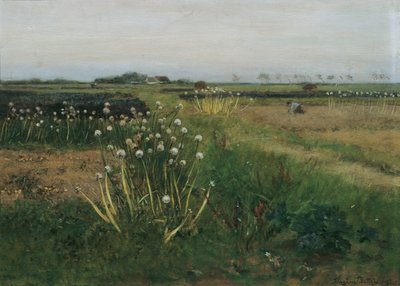 Campo de cebolla floreciente de Eugen Jettel
