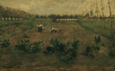 trabajo de campo de Eugen Jettel