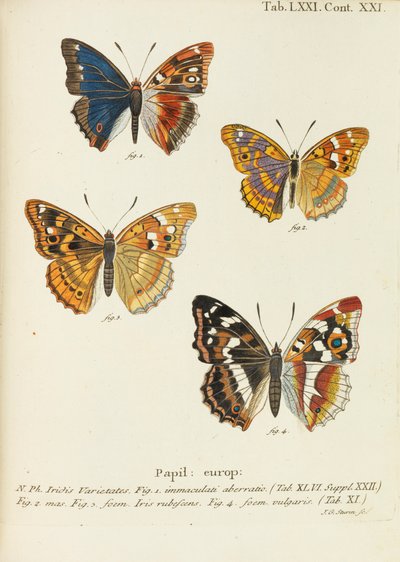 Die Schmetterlinge de Eugen Johann Christoph Esper