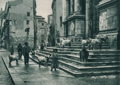 Cabras en los escalones de la Catedral, Palermo, Sicilia, Italia, 1927 de Eugen Poppel