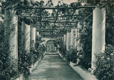 Pérgola en un viñedo, Capri, Italia, 1927 de Eugen Poppel