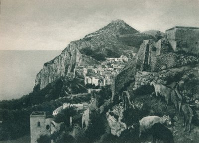 Vista del mar con Monte Solaro, Capri, Italia, 1927 de Eugen Poppel