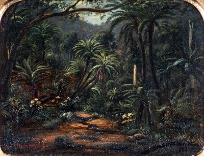Ferntree Gully en las montañas Dandenong de Eugen von Guerard