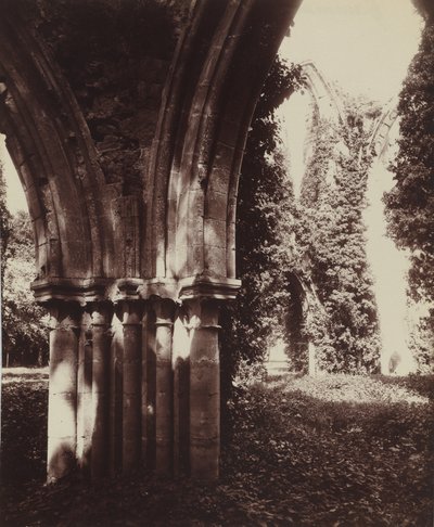 Dammarie-les-Lys, ruinas,1910 (foto) de Eugène Atget