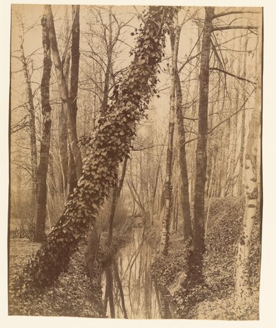  de Eugène Atget