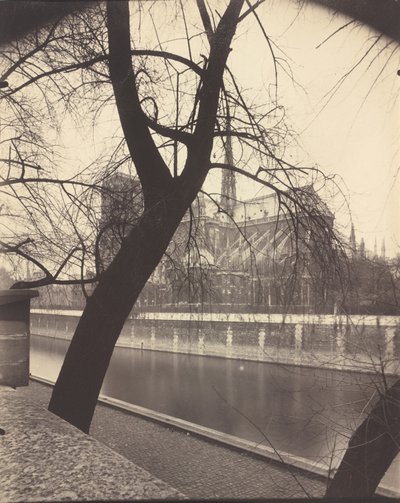 Notre-Dame,1922 (foto) de Eugène Atget