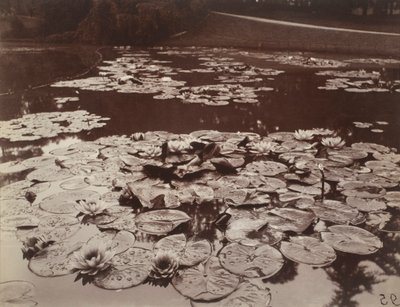 Nenúfares de Eugène Atget