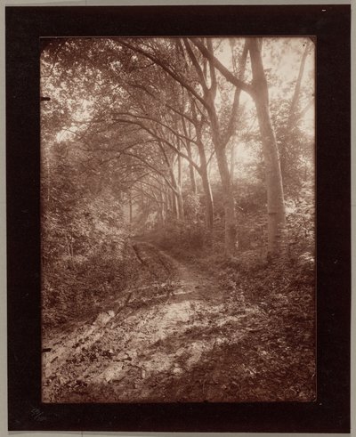  de Eugène Atget