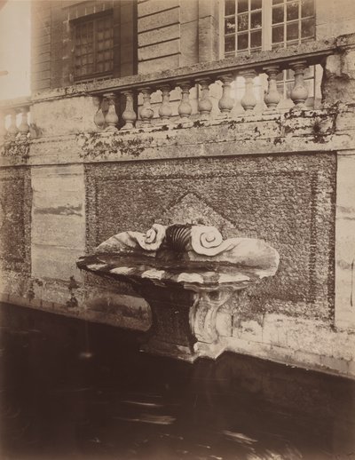Parque de Sceaux, hacia 1857-1927 (foto) de Eugène Atget