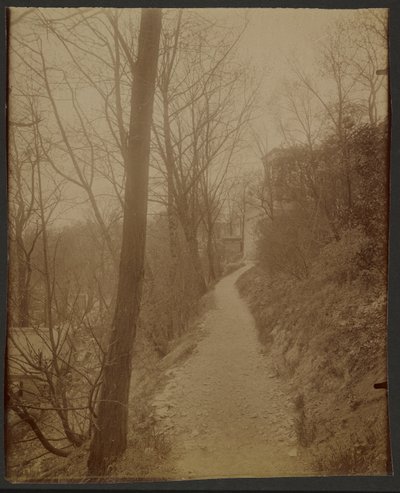 Père Lachaise, camino de las cabras de Eugène Atget