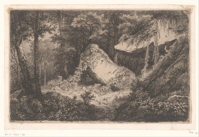 La vida en el bosque es una de las más importantes.
Las Rocas Blancas
Conjunto de 8 grabados sobre la naturaleza cerca de Dampierre por Eug. Bléry (título de la serie) de Eugene Bléry