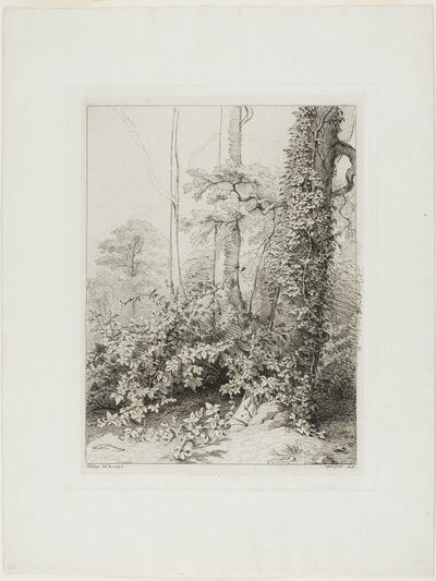 Zarza y Hiedra de Eugene Bléry