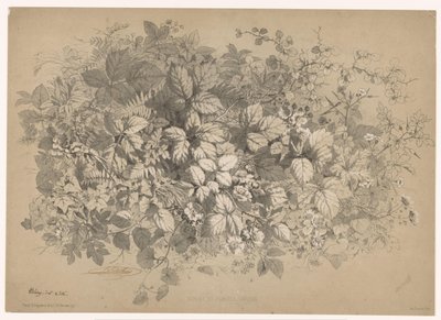 Bramen y otras plantas
Zarzas y plantas diversas (título en el objeto)
Planten en bloemen (título de la serie)
Guía industrial dibujada del natural y litografiada por Bléry (título de la serie) de Eugene Bléry