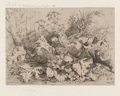 Bardana en flor, 1858 de Eugene Bléry