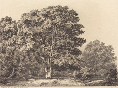 Entrada a un bosque de Eugene Bléry