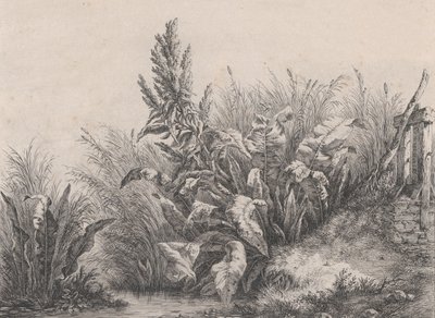 Gran planta de muelle de agua, 1840 de Eugene Bléry