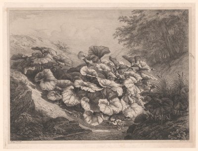 Groot hoefblad Los grandes Coltsfoots Vier grote plant soorten (título de la serie) Las cuatro grandes plantas (título de la serie) de Eugene Bléry