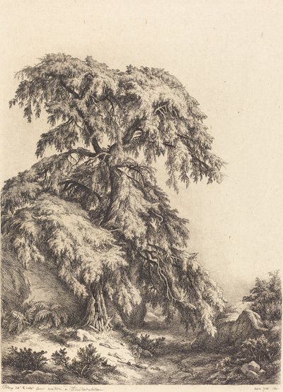 Árbol de Enebro de Eugene Bléry