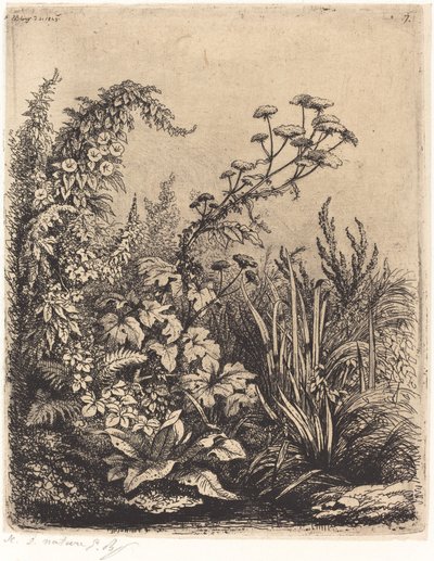 La pequeña berle con liserones, publicada en 1849 de Eugene Bléry