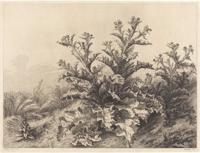 Gran cardo, 1843 de Eugene Bléry