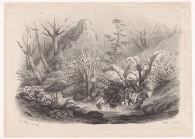 Oeverplanten bij een beek
Diverse planten (título de la serie)
Diversos grupos de plantas dibujados en la naturaleza y litografiados (título de la serie) de Eugene Bléry