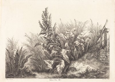 Paciencia de agua, estudio de Eugene Bléry