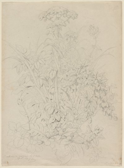 Plant Study de Eugene Bléry