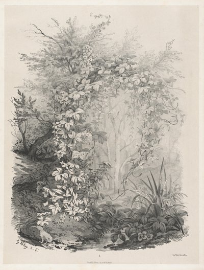 Plantas y hiedras junto a un arroyo, 1848-1849 de Eugene Bléry
