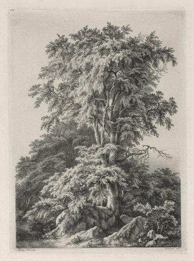 Estudios dibujados y grabados de la naturaleza: La playa, Fontainbleau, 1840 de Eugene Bléry