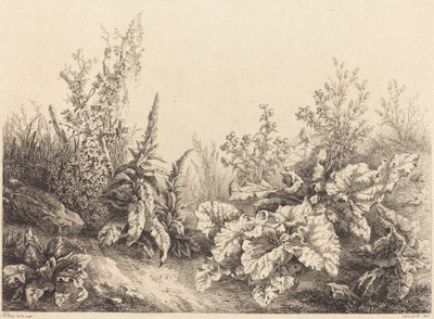 Estudio de un Lampazo de Eugene Bléry