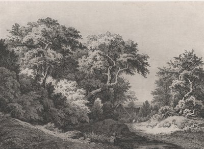 El Borde del Bosque, cerca de Rambouillet, 1860 de Eugene Bléry