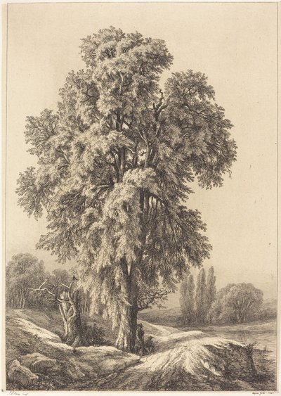 El olmo de Eugene Bléry