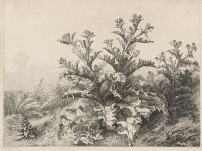 El Gran Cardo de Eugene Bléry