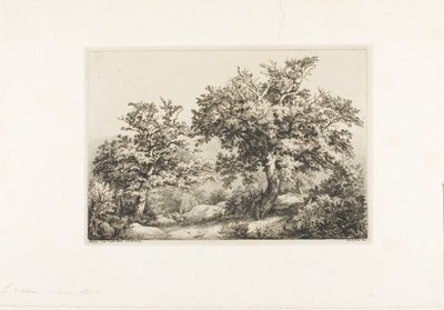 Los dos robles, Fontainebleau de Eugene Bléry