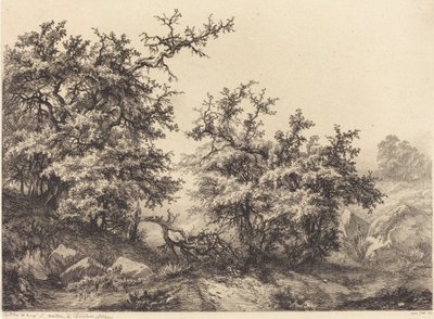 Arbustos espinosos de Eugene Bléry