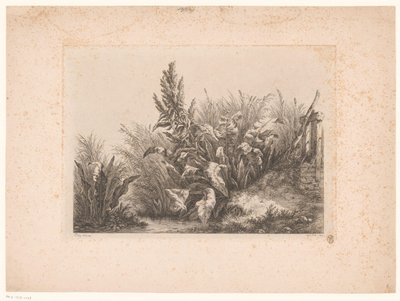 Waterzuring y riet aan de oever
Paciencia con el agua en la puerta pequeña
Estudios de dibujo y grabado del natural (...) (título de la serie) de Eugene Bléry