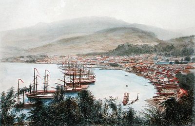 Vista de Saint-Pierre desde la batería de cañones en Sainte-Marthe, Martinica de Eugene Ciceri