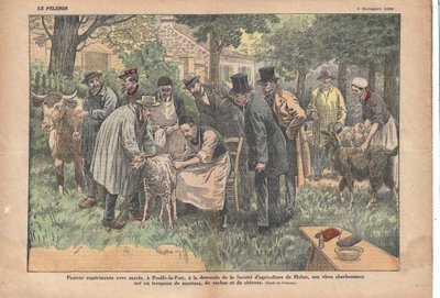 En Pouilly-le-Fort, a petición de la Sociedad Agrícola de Melun, Pasteur prueba con éxito su virus del carbunco en un rebaño de ovejas, vacas y cabras, Le Pèlerin, 5/11/1922 (impresión) de Eugene Damblans