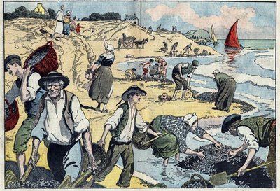 Los habitantes de la costa de Thouais están cosechando mejillones. Kernevel, Finisterre (29), Bretaña. Ilustración de Damblans en 
