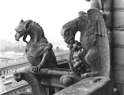 Gárgolas de la balaustrada de la Gran Galería de la fachada oeste, réplica de un original del siglo XII de Eugene Emmanuel Viollet le Duc