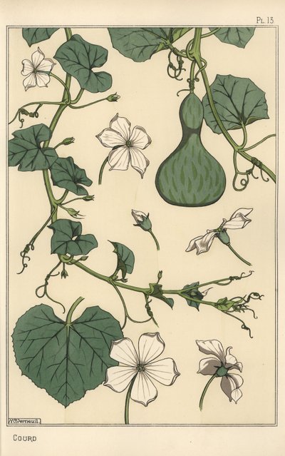 Ilustración botánica de la calabaza de Eugene Grasset