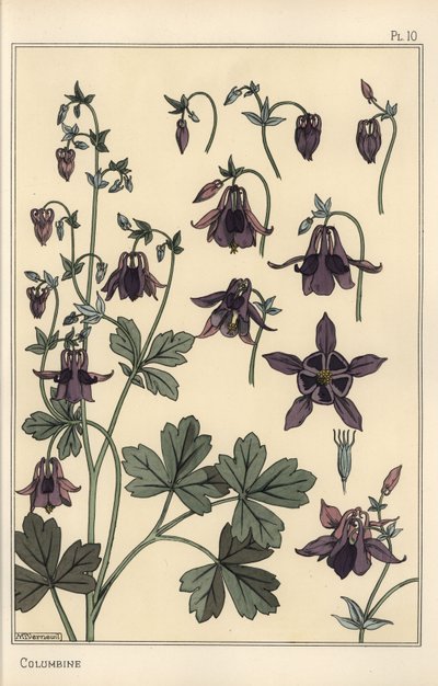 Columbina, Aquilegia vulgaris, partes de la flor de Eugene Grasset