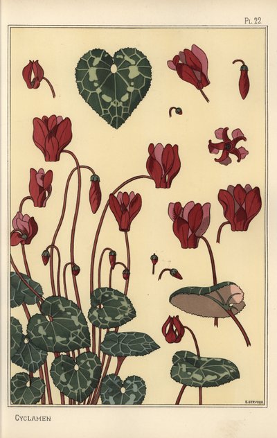 Planta de ciclamen, con detalles de la flor, hojas, pétalos de Eugene Grasset