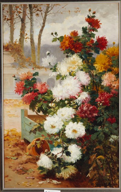 Crisantemos en un Jardín Amurallado de Eugene Henri Cauchois